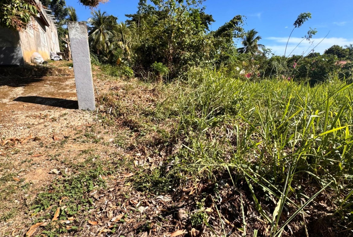 Thirteenth image of 15 Farringdon Drive in Kingston 6, St. Andrew, Jamaica - property is For Sale