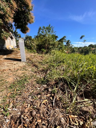 Thirteenth image of 15 Farringdon Drive in Kingston 6, St. Andrew, Jamaica - property is For Sale