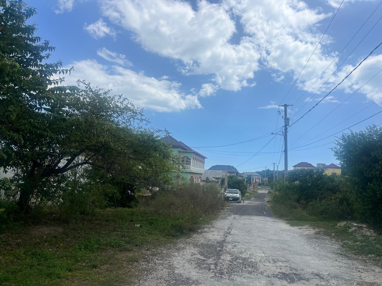 Fourth image of Lot 421- Part of Luana Pen in Luana, St. Elizabeth, Jamaica - property is For Sale