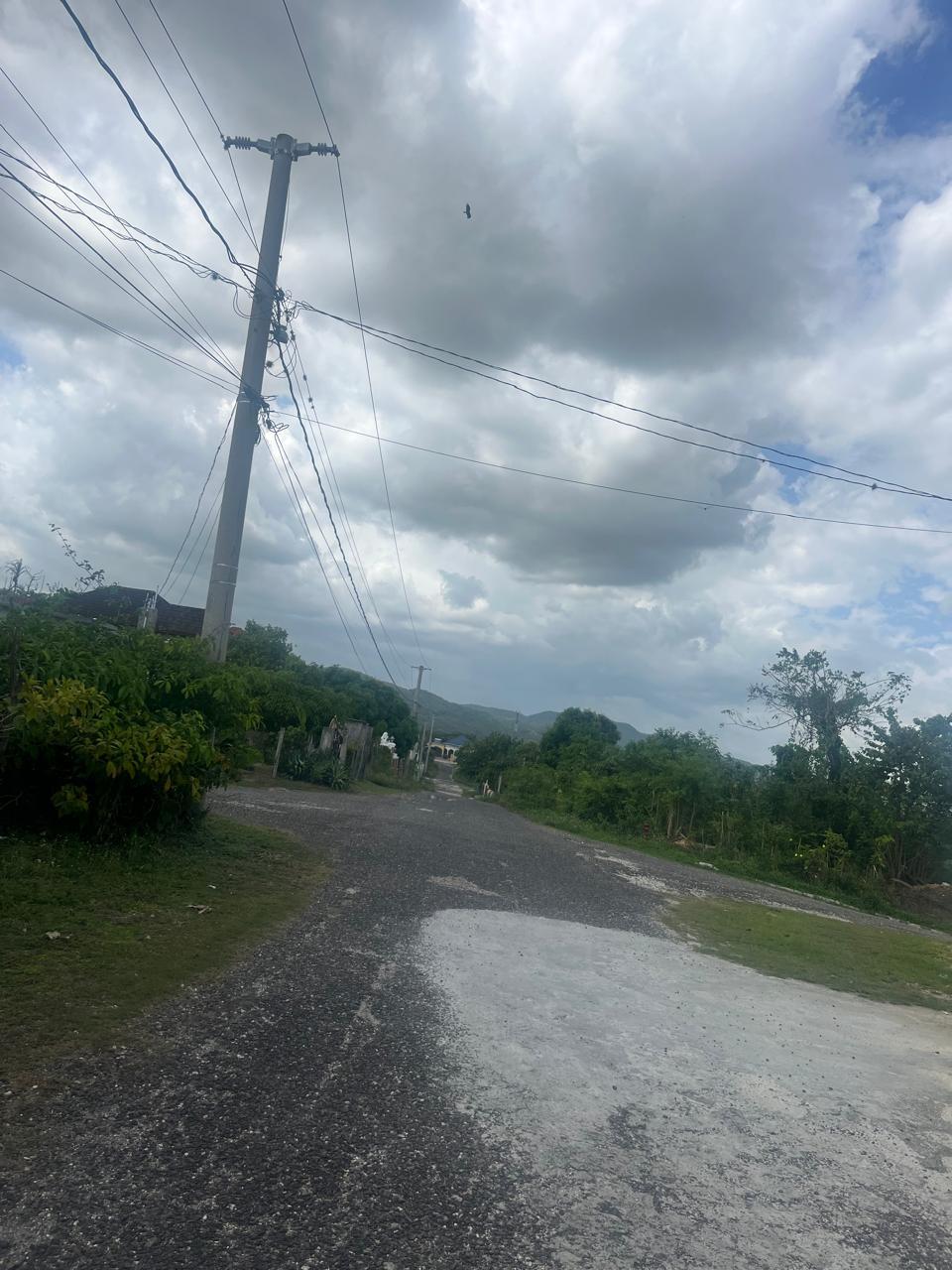 Fifth image of Lot 421- Part of Luana Pen in Luana, St. Elizabeth, Jamaica - property is For Sale