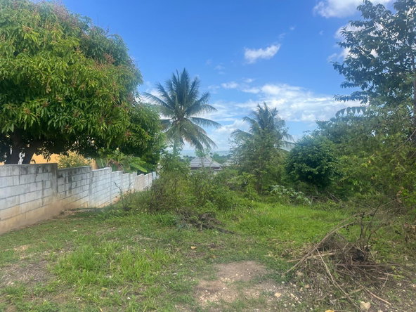 Sixth image of Lot 421- Part of Luana Pen in Luana, St. Elizabeth, Jamaica - property is For Sale