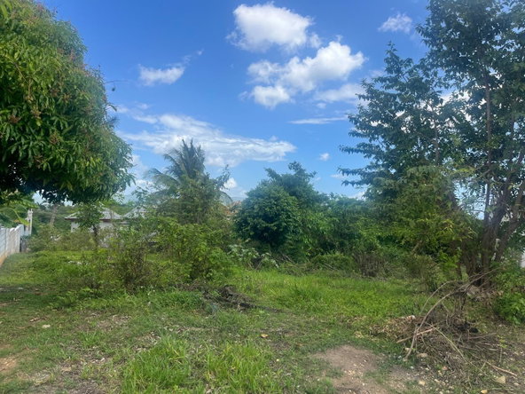 Seventh image of Lot 421- Part of Luana Pen in Luana, St. Elizabeth, Jamaica - property is For Sale
