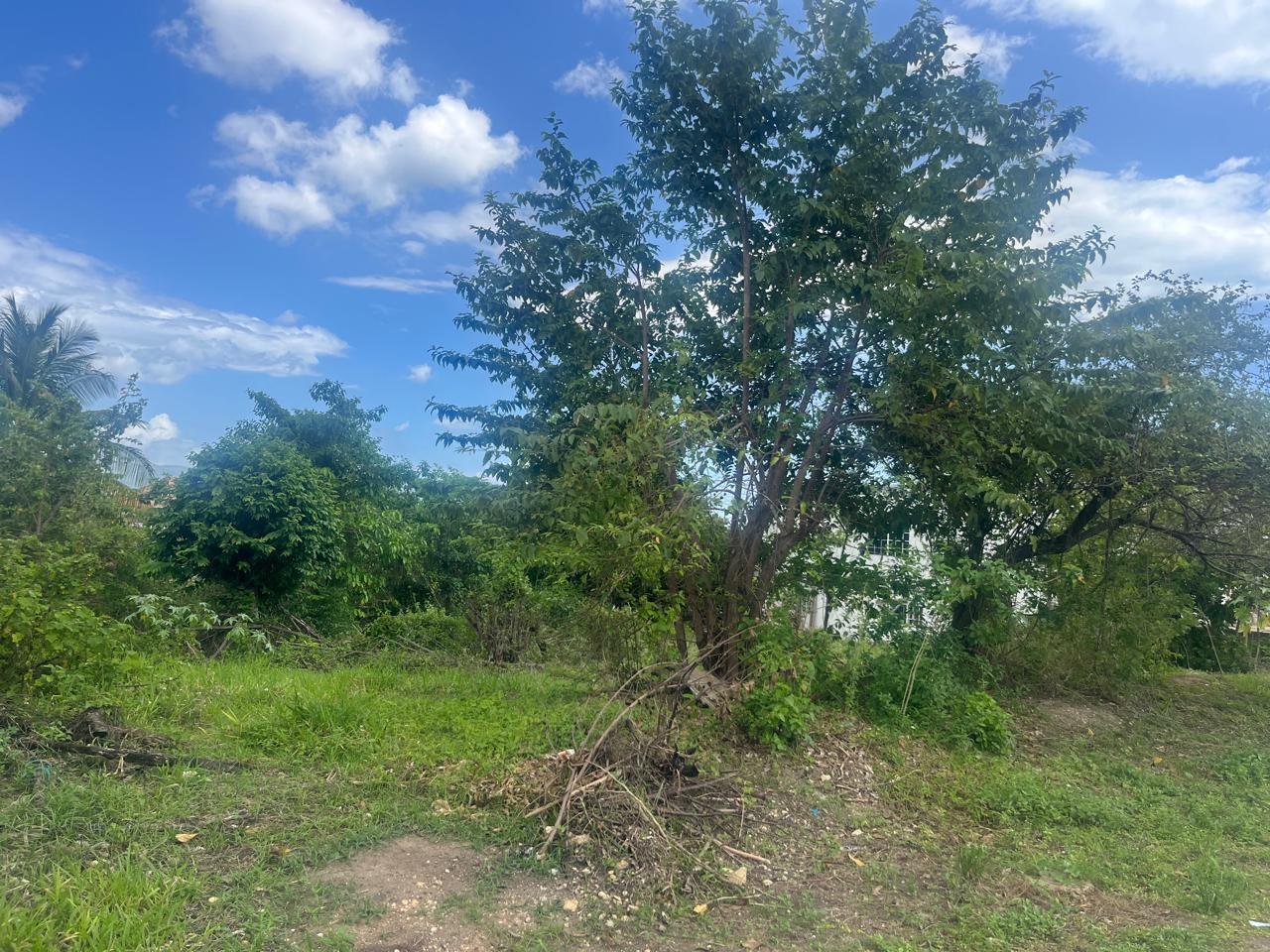 Eighth image of Lot 421- Part of Luana Pen in Luana, St. Elizabeth, Jamaica - property is For Sale