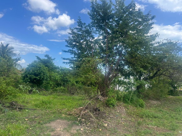 Eighth image of Lot 421- Part of Luana Pen in Luana, St. Elizabeth, Jamaica - property is For Sale