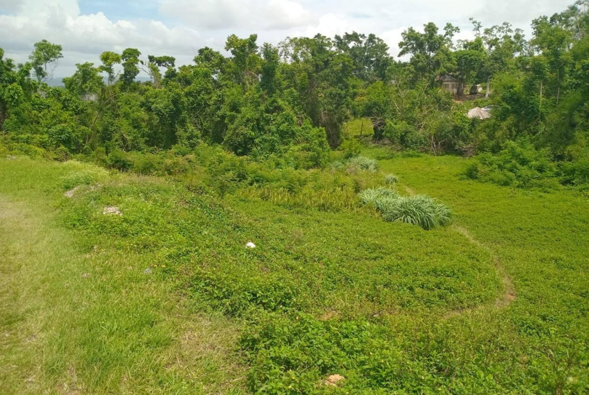 Second image of Church Grove Road in Mandeville, Manchester, Jamaica - property is For Sale