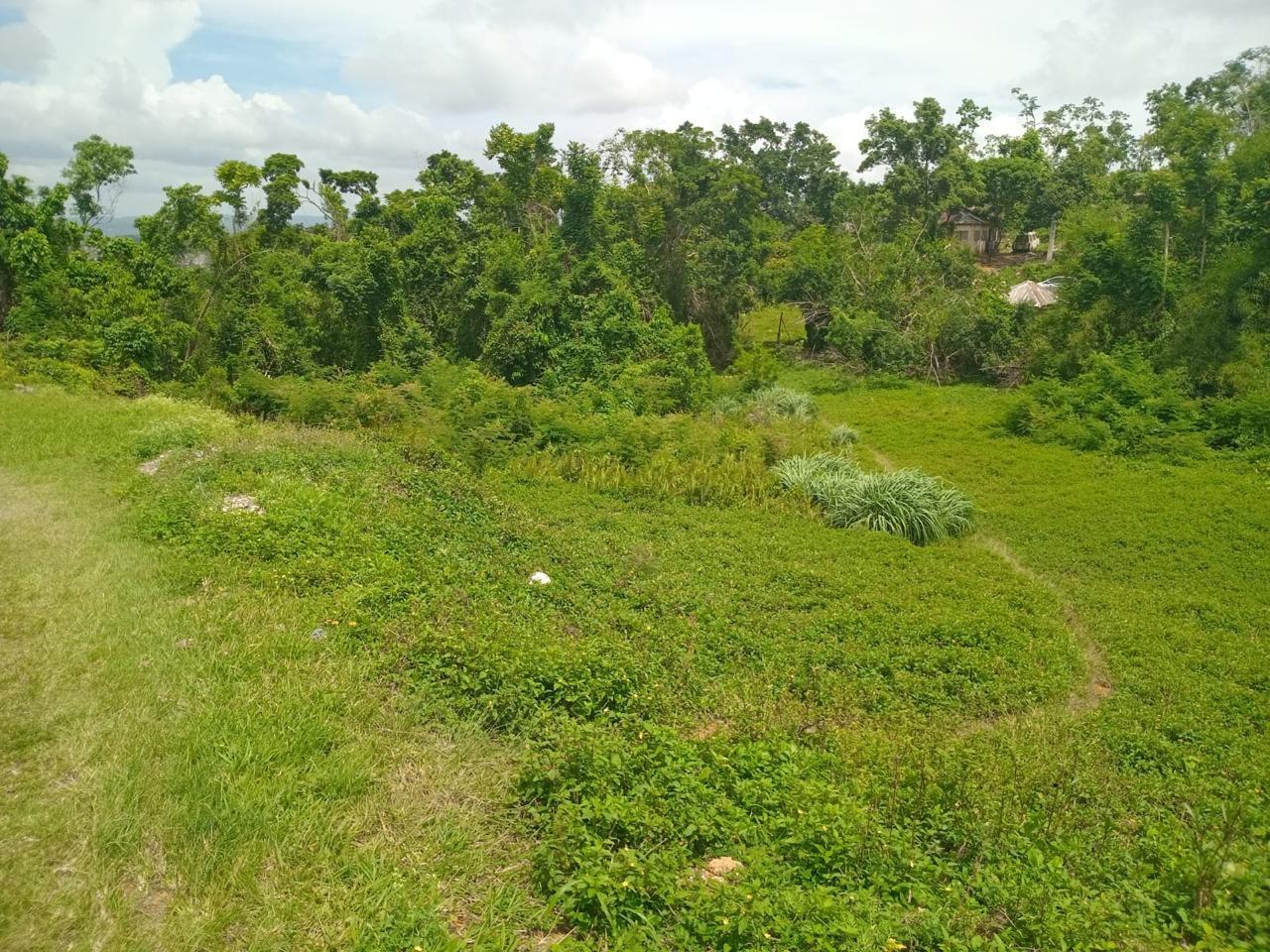 Residential-Lot-for-Sale-in-Manchester-Jamaica-12795-Sq-Ft-Land-on-Church-Grove-Road Second image of Church Grove Road in Mandeville, Manchester, Jamaica - property is For Sale