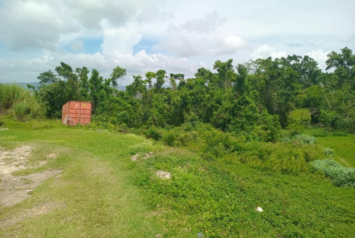Third image of Church Grove Road in Mandeville, Manchester, Jamaica - property is For Sale