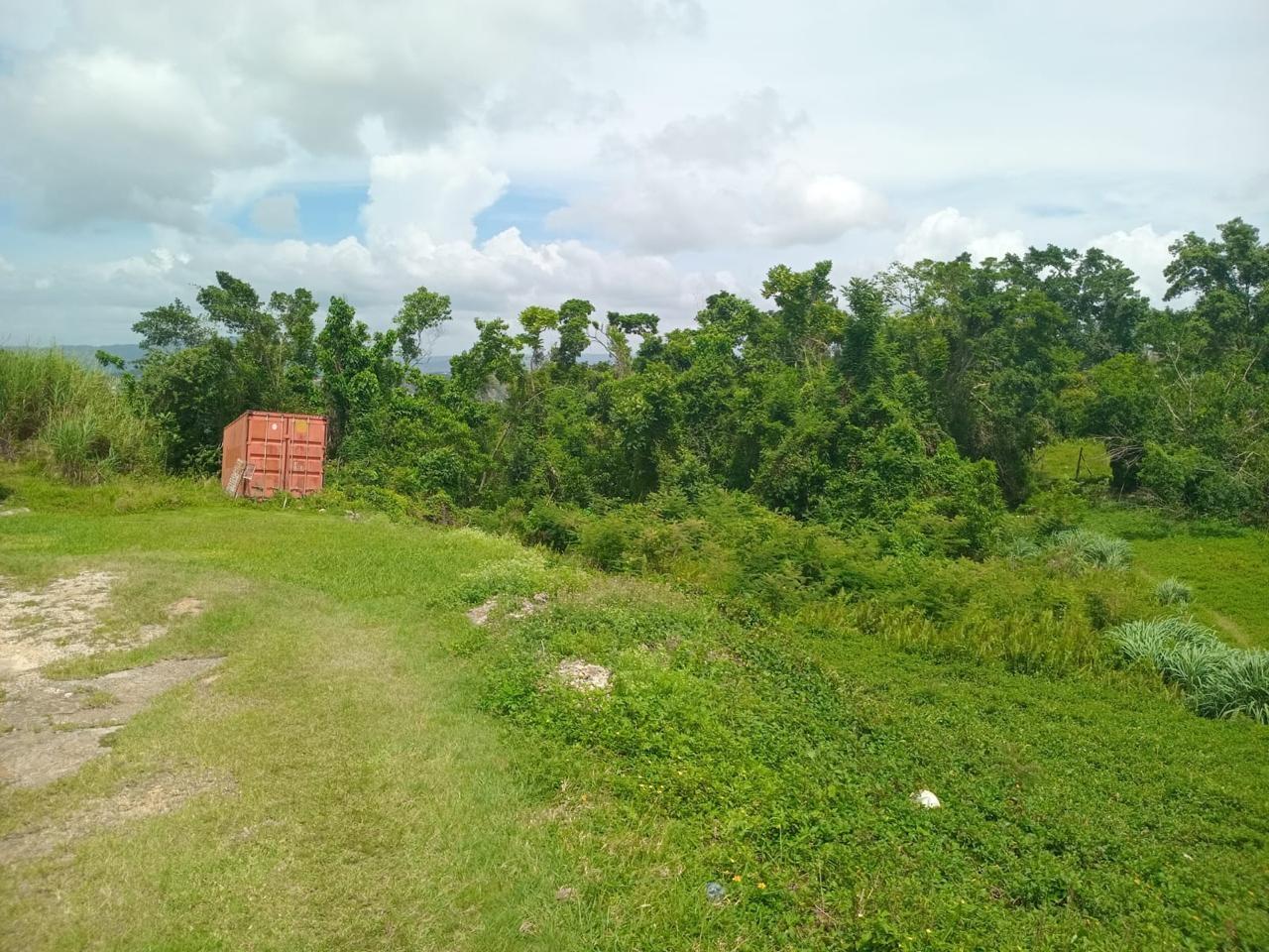 Residential-Lot-for-Sale-in-Manchester-Jamaica-12795-Sq-Ft-Land-on-Church-Grove-Road Third image of Church Grove Road in Mandeville, Manchester, Jamaica - property is For Sale