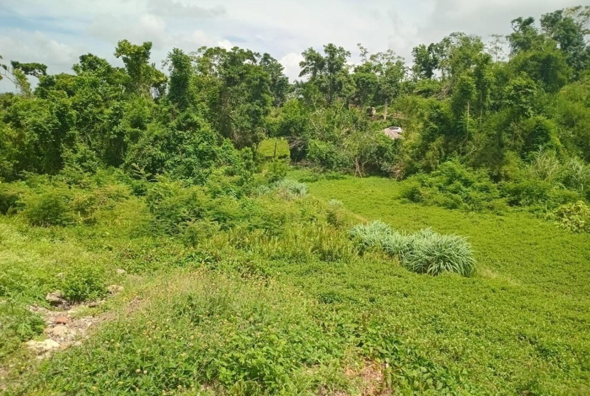 Fourth image of Church Grove Road in Mandeville, Manchester, Jamaica - property is For Sale