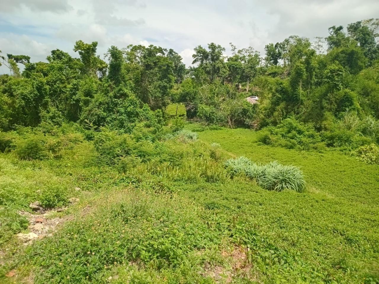 Residential-Lot-for-Sale-in-Manchester-Jamaica-12795-Sq-Ft-Land-on-Church-Grove-Road Fourth image of Church Grove Road in Mandeville, Manchester, Jamaica - property is For Sale