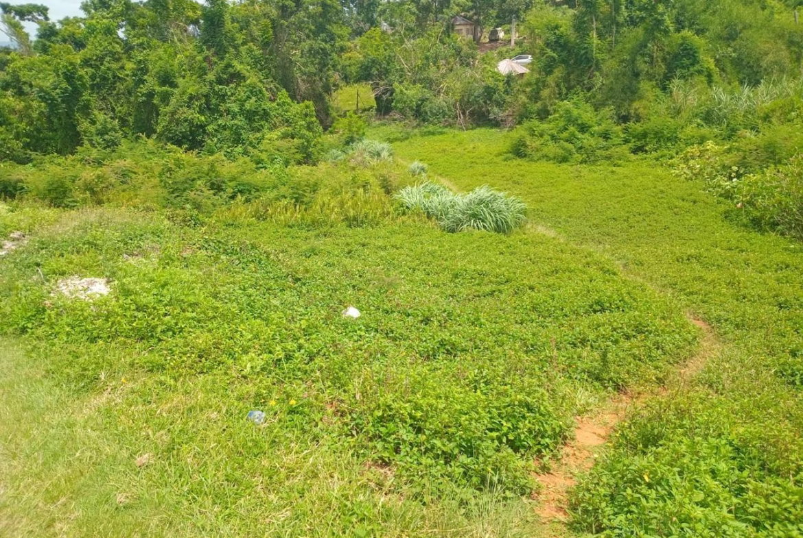 Fifth image of Church Grove Road in Mandeville, Manchester, Jamaica - property is For Sale