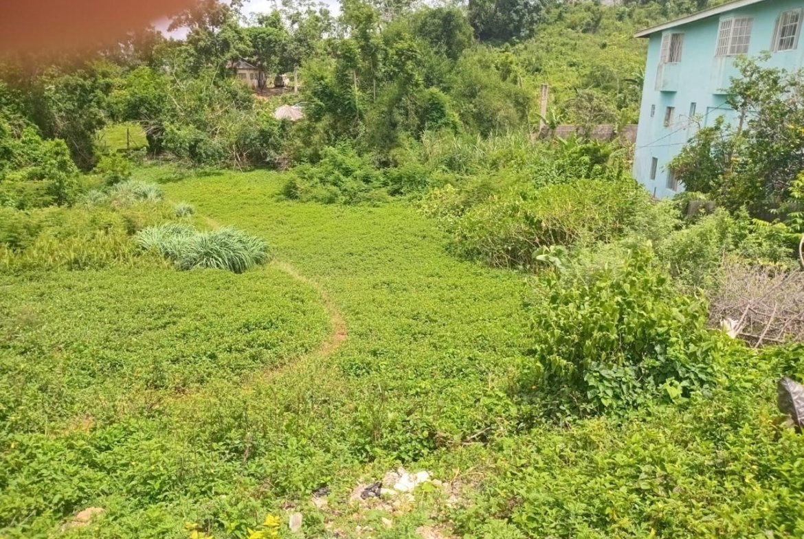 Sixth image of Church Grove Road in Mandeville, Manchester, Jamaica - property is For Sale