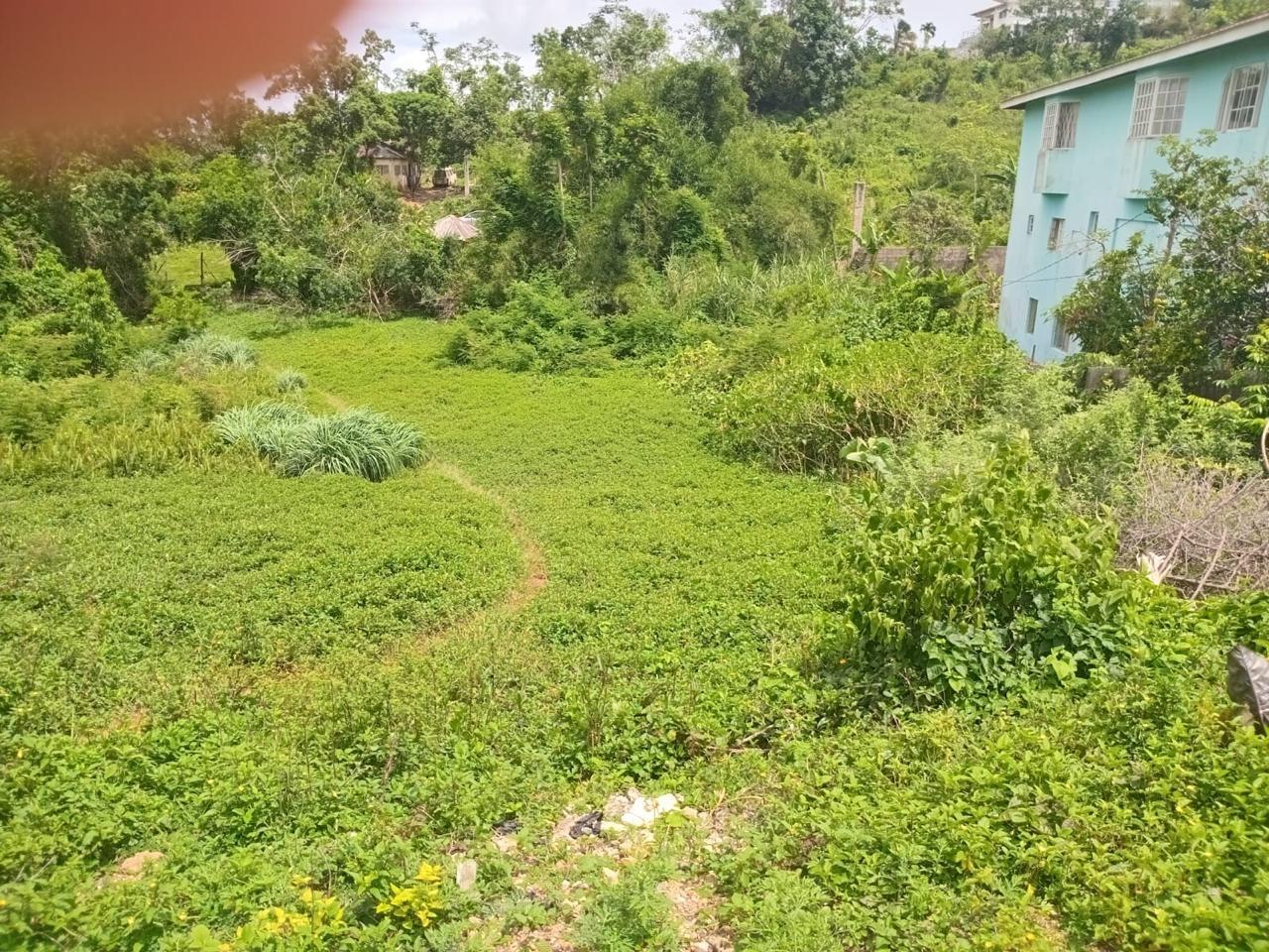 Residential-Lot-for-Sale-in-Manchester-Jamaica-12795-Sq-Ft-Land-on-Church-Grove-Road Sixth image of Church Grove Road in Mandeville, Manchester, Jamaica - property is For Sale
