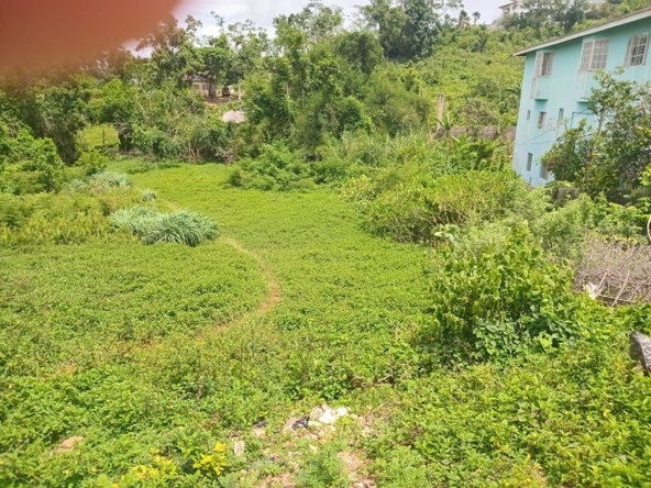 Sixth image of Church Grove Road in Mandeville, Manchester, Jamaica - property is For Sale