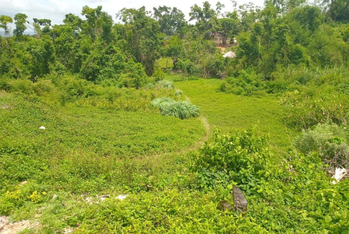 Seventh image of Church Grove Road in Mandeville, Manchester, Jamaica - property is For Sale