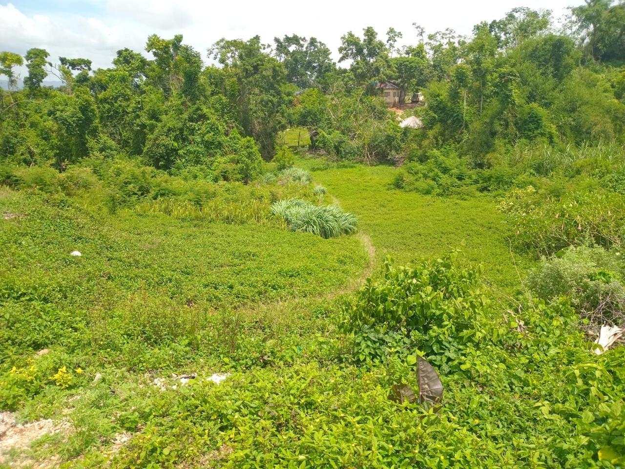 Residential-Lot-for-Sale-in-Manchester-Jamaica-12795-Sq-Ft-Land-on-Church-Grove-Road Seventh image of Church Grove Road in Mandeville, Manchester, Jamaica - property is For Sale
