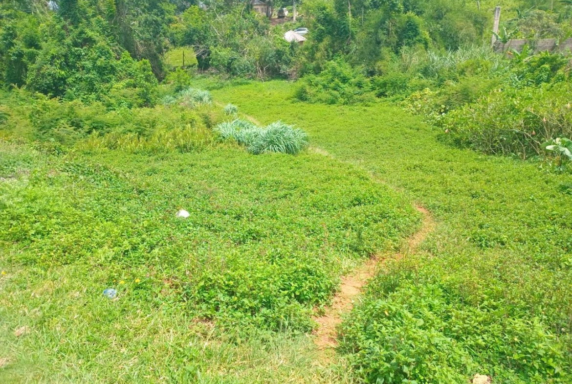 Eighth image of Church Grove Road in Mandeville, Manchester, Jamaica - property is For Sale