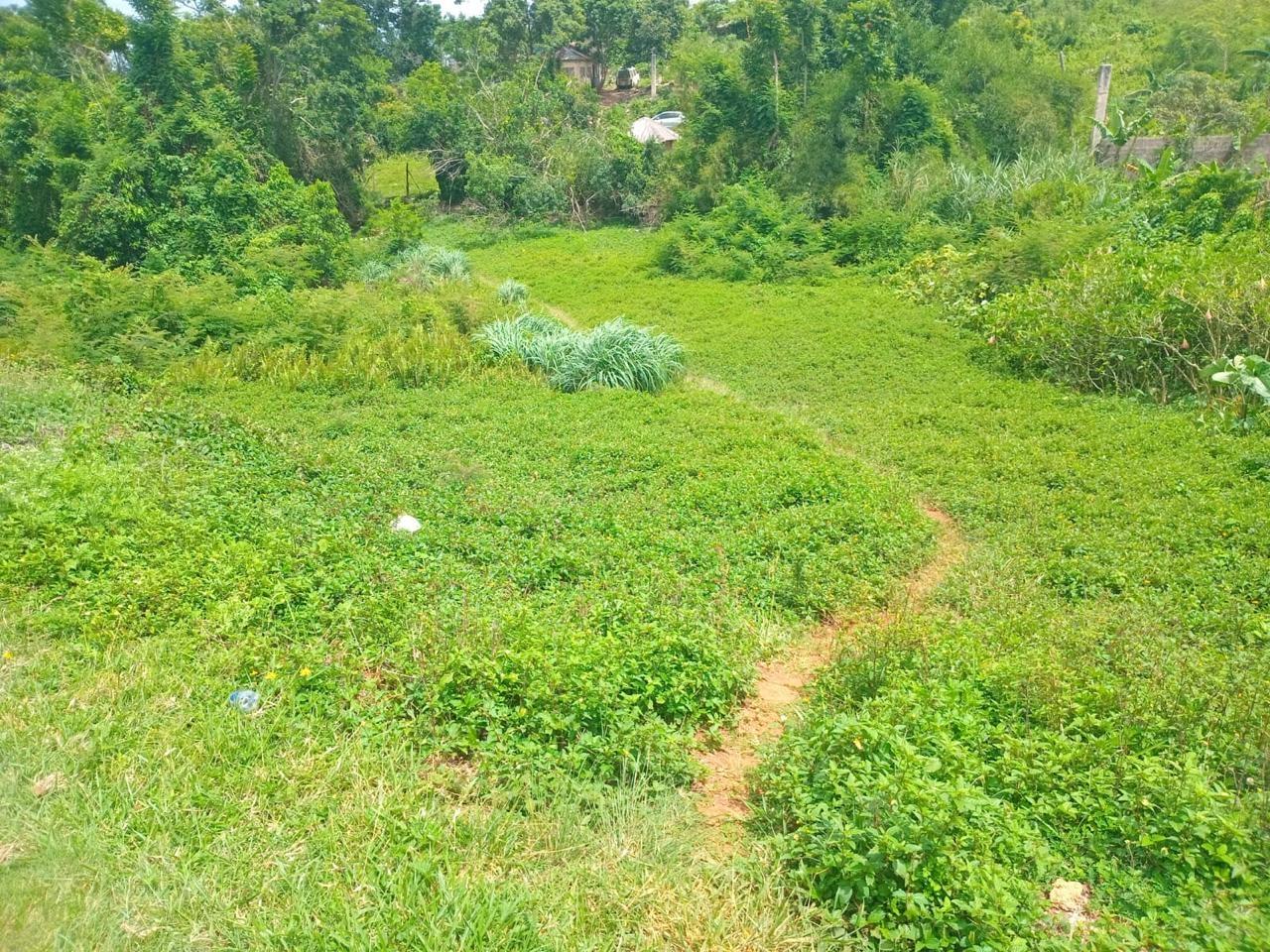 Residential-Lot-for-Sale-in-Manchester-Jamaica-12795-Sq-Ft-Land-on-Church-Grove-Road Eighth image of Church Grove Road in Mandeville, Manchester, Jamaica - property is For Sale