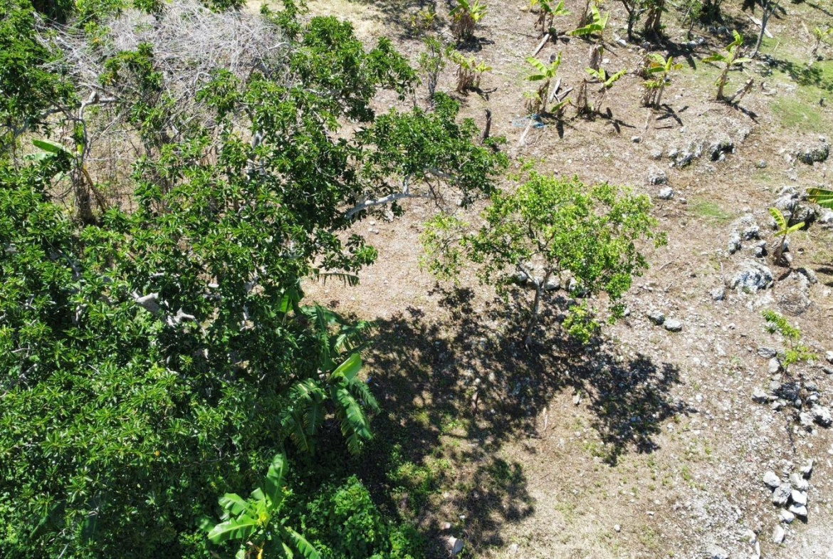 Twelfth image of Mckinley Road Mandeville in Mandeville, Manchester, Jamaica - property is For Sale
