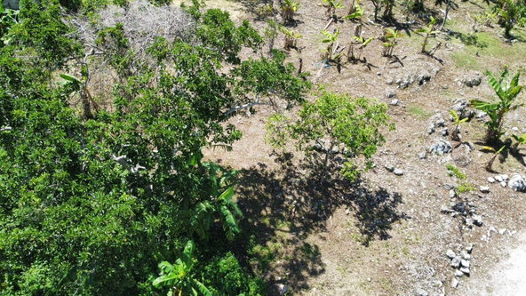 Twelfth image of Mckinley Road Mandeville in Mandeville, Manchester, Jamaica - property is For Sale