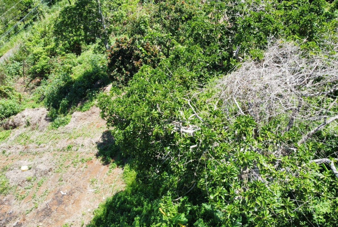 Thirteenth image of Mckinley Road Mandeville in Mandeville, Manchester, Jamaica - property is For Sale