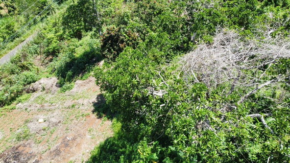 Thirteenth image of Mckinley Road Mandeville in Mandeville, Manchester, Jamaica - property is For Sale