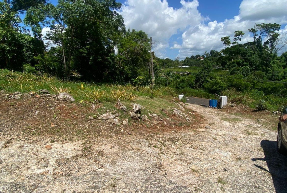 Fourteenth image of Mckinley Road Mandeville in Mandeville, Manchester, Jamaica - property is For Sale
