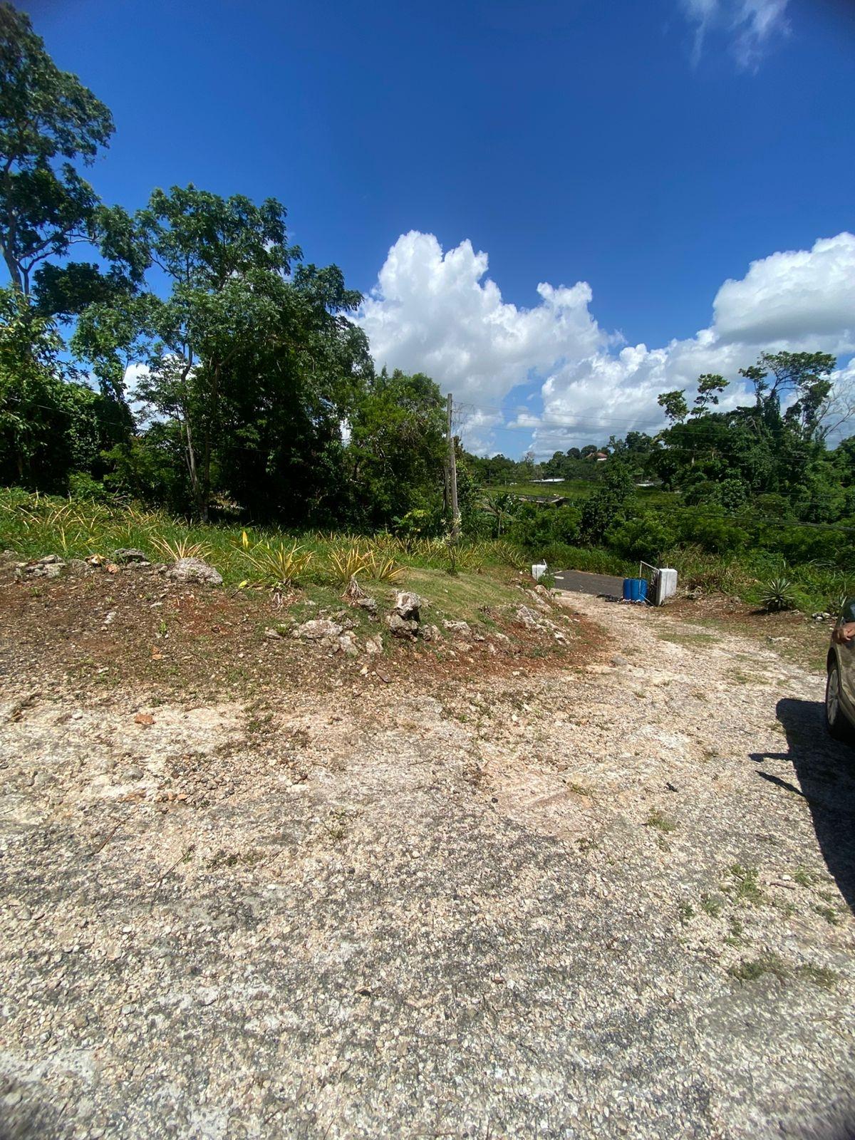 Fourteenth image of Mckinley Road Mandeville in Mandeville, Manchester, Jamaica - property is For Sale