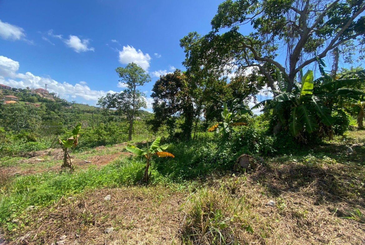 Sixteenth image of Mckinley Road Mandeville in Mandeville, Manchester, Jamaica - property is For Sale