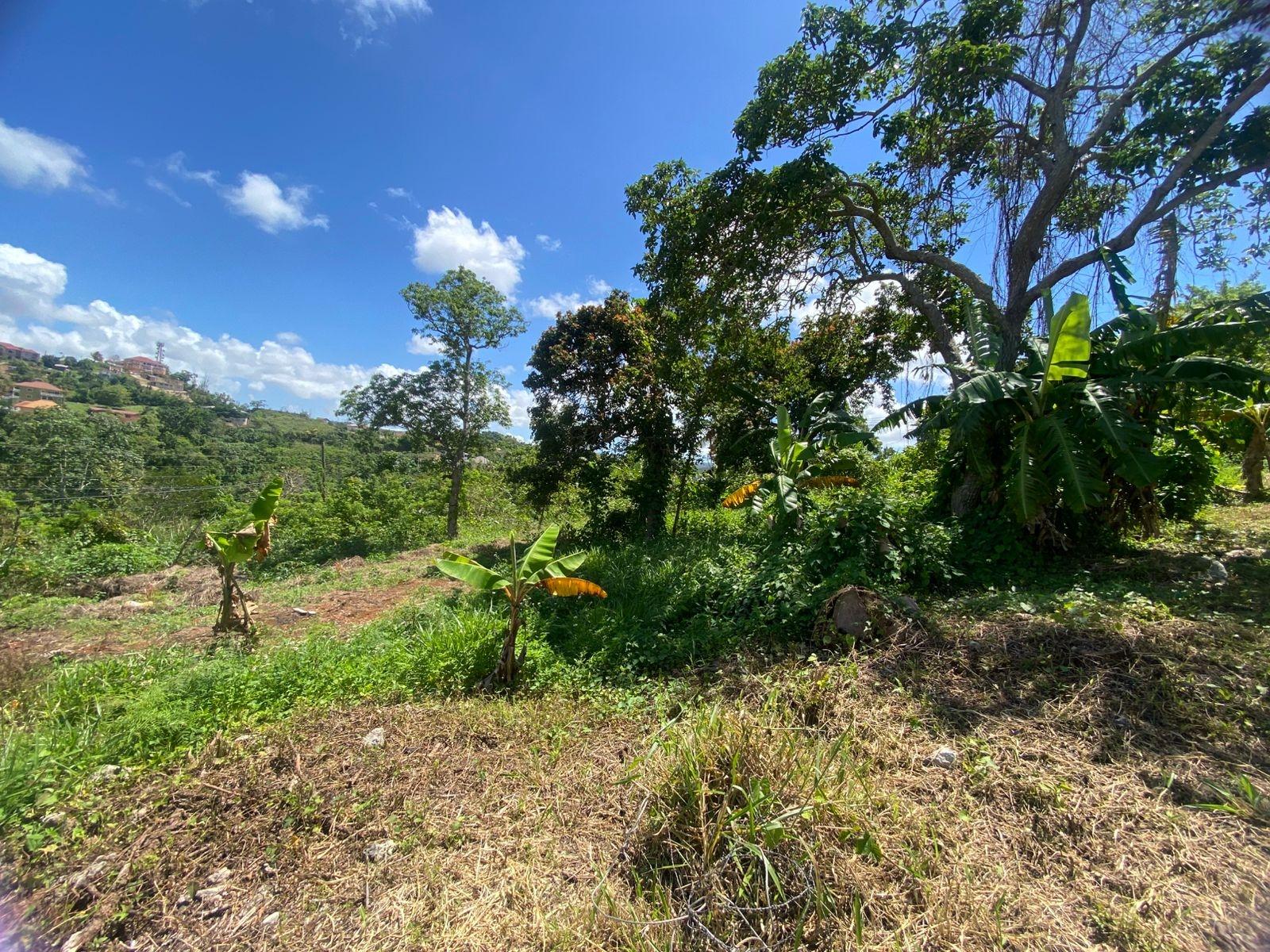 Sixteenth image of Mckinley Road Mandeville in Mandeville, Manchester, Jamaica - property is For Sale