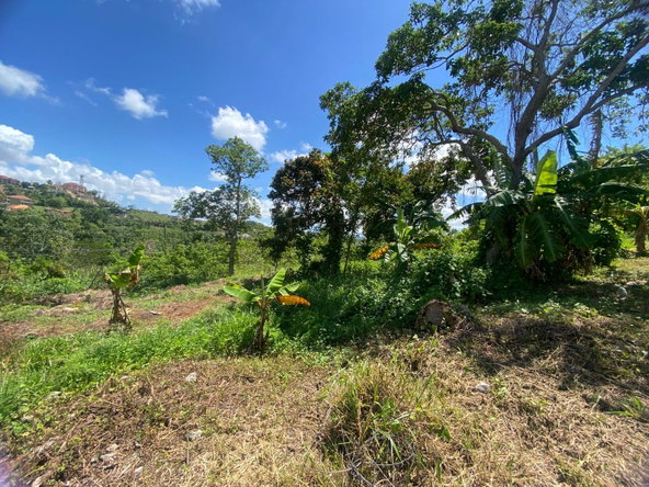 Sixteenth image of Mckinley Road Mandeville in Mandeville, Manchester, Jamaica - property is For Sale