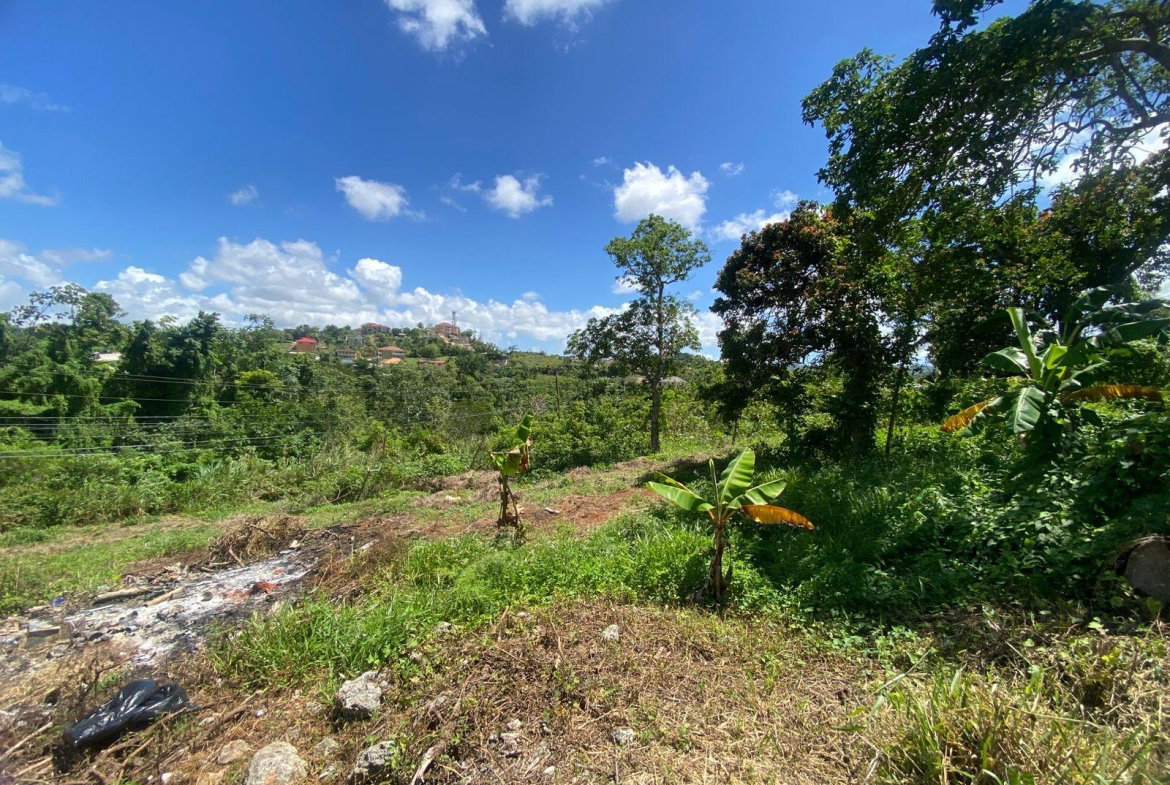 Seventeenth image of Mckinley Road Mandeville in Mandeville, Manchester, Jamaica - property is For Sale