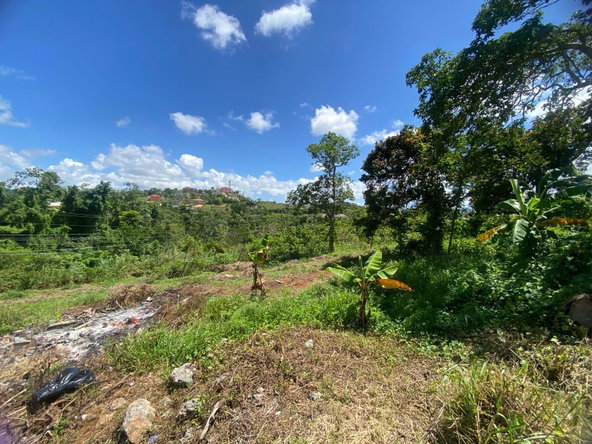 Seventeenth image of Mckinley Road Mandeville in Mandeville, Manchester, Jamaica - property is For Sale