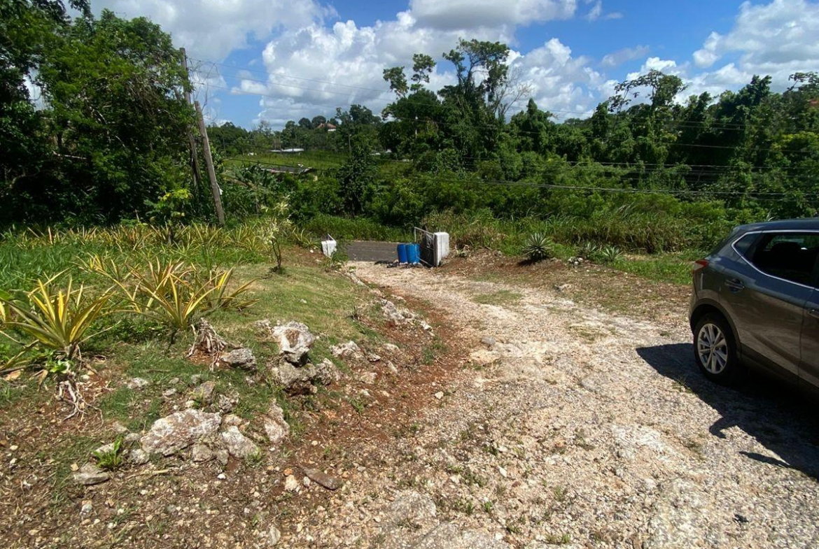 Eighteenth image of Mckinley Road Mandeville in Mandeville, Manchester, Jamaica - property is For Sale