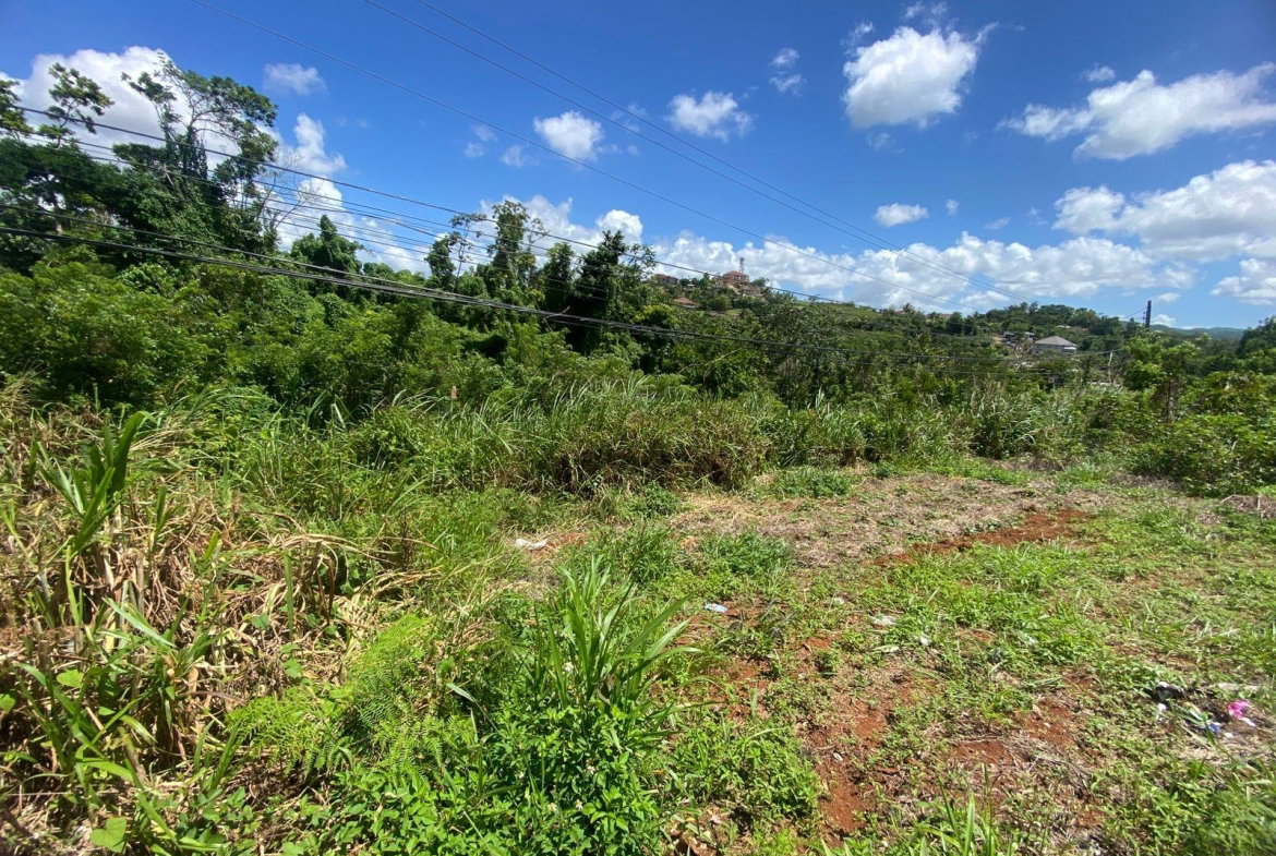 Nineteenth image of Mckinley Road Mandeville in Mandeville, Manchester, Jamaica - property is For Sale