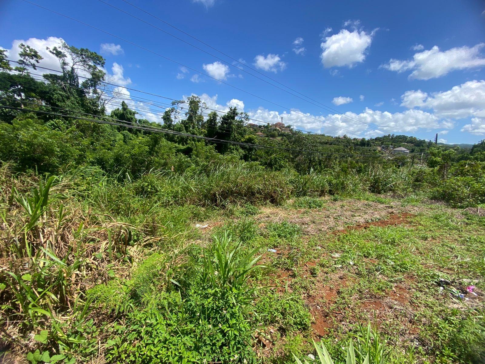 Nineteenth image of Mckinley Road Mandeville in Mandeville, Manchester, Jamaica - property is For Sale