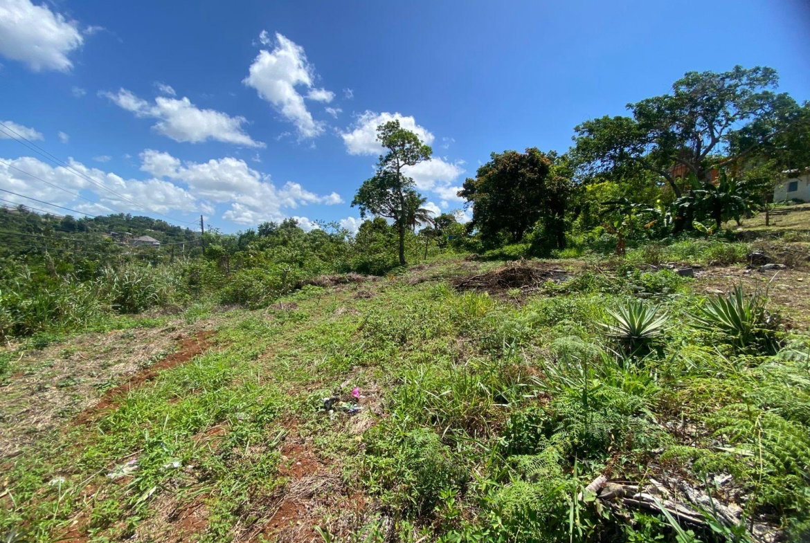 Twentieth image of Mckinley Road Mandeville in Mandeville, Manchester, Jamaica - property is For Sale