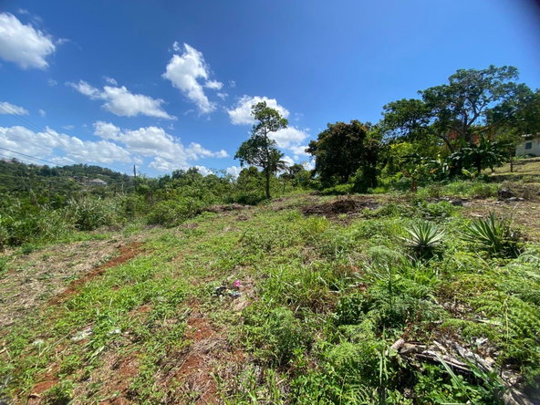 Twentieth image of Mckinley Road Mandeville in Mandeville, Manchester, Jamaica - property is For Sale