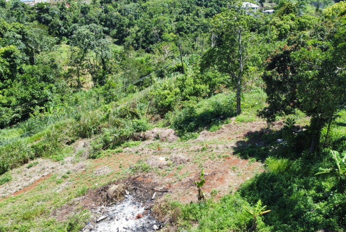 Third image of Mckinley Road Mandeville in Mandeville, Manchester, Jamaica - property is For Sale