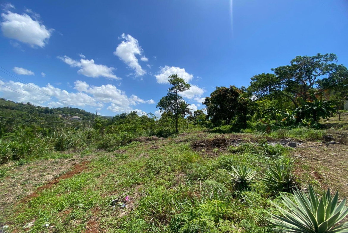 Twenty-First image of Mckinley Road Mandeville in Mandeville, Manchester, Jamaica - property is For Sale