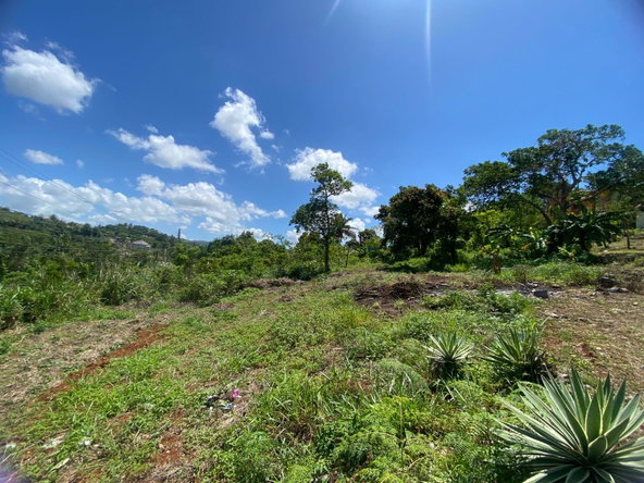 Twenty-First image of Mckinley Road Mandeville in Mandeville, Manchester, Jamaica - property is For Sale