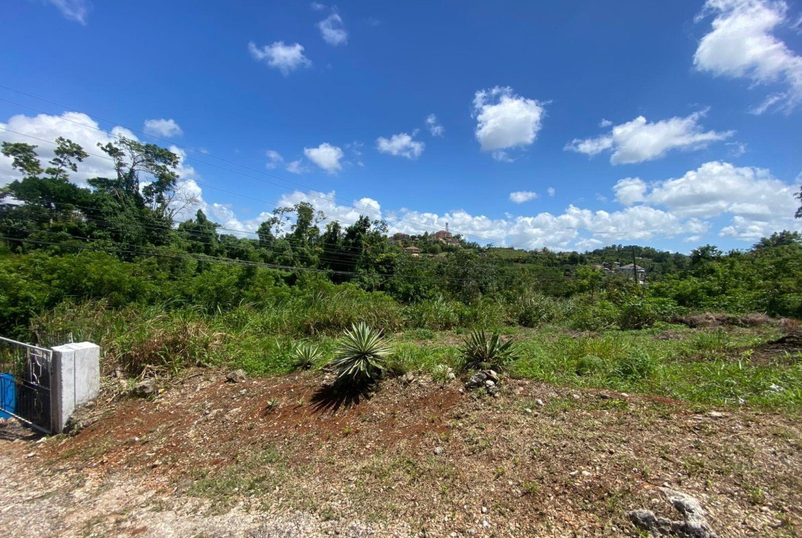 Twenty-Second image of Mckinley Road Mandeville in Mandeville, Manchester, Jamaica - property is For Sale