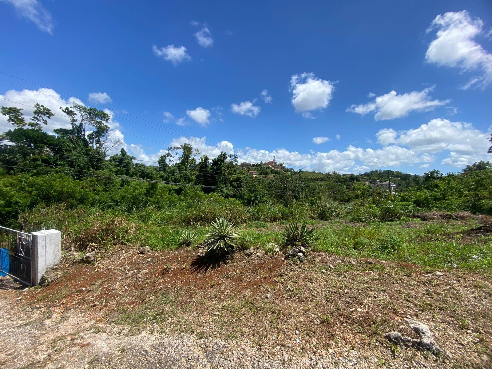 Twenty-Second image of Mckinley Road Mandeville in Mandeville, Manchester, Jamaica - property is For Sale