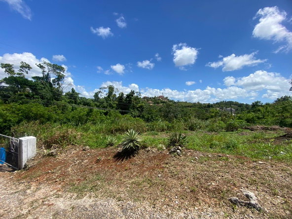 Twenty-Second image of Mckinley Road Mandeville in Mandeville, Manchester, Jamaica - property is For Sale