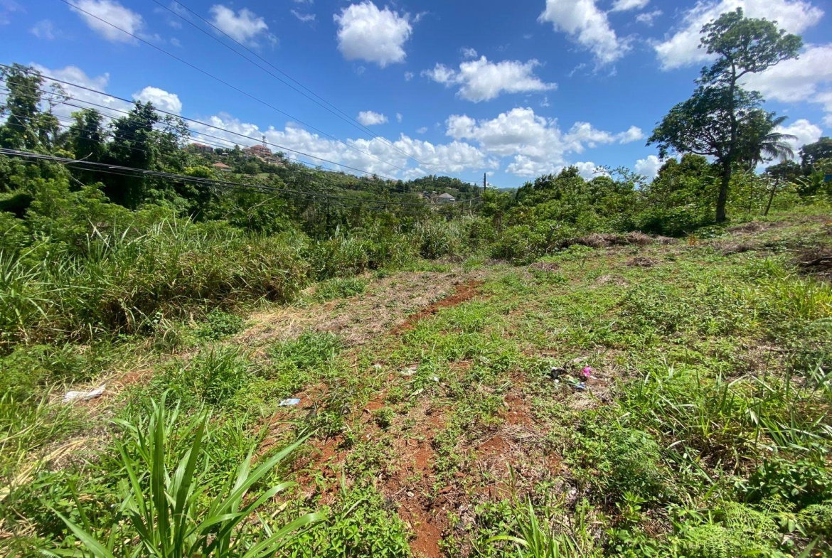 Twenty-Third image of Mckinley Road Mandeville in Mandeville, Manchester, Jamaica - property is For Sale