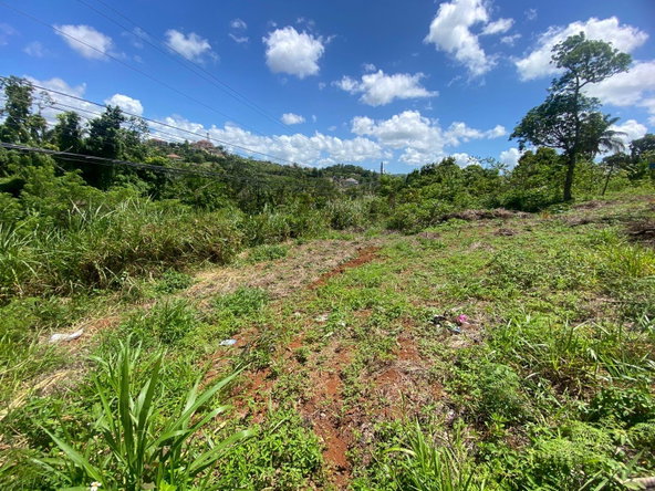 Twenty-Third image of Mckinley Road Mandeville in Mandeville, Manchester, Jamaica - property is For Sale