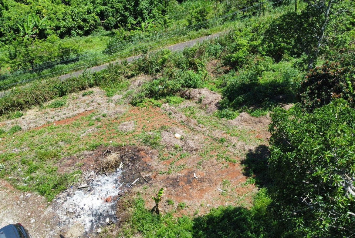 Sixth image of Mckinley Road Mandeville in Mandeville, Manchester, Jamaica - property is For Sale