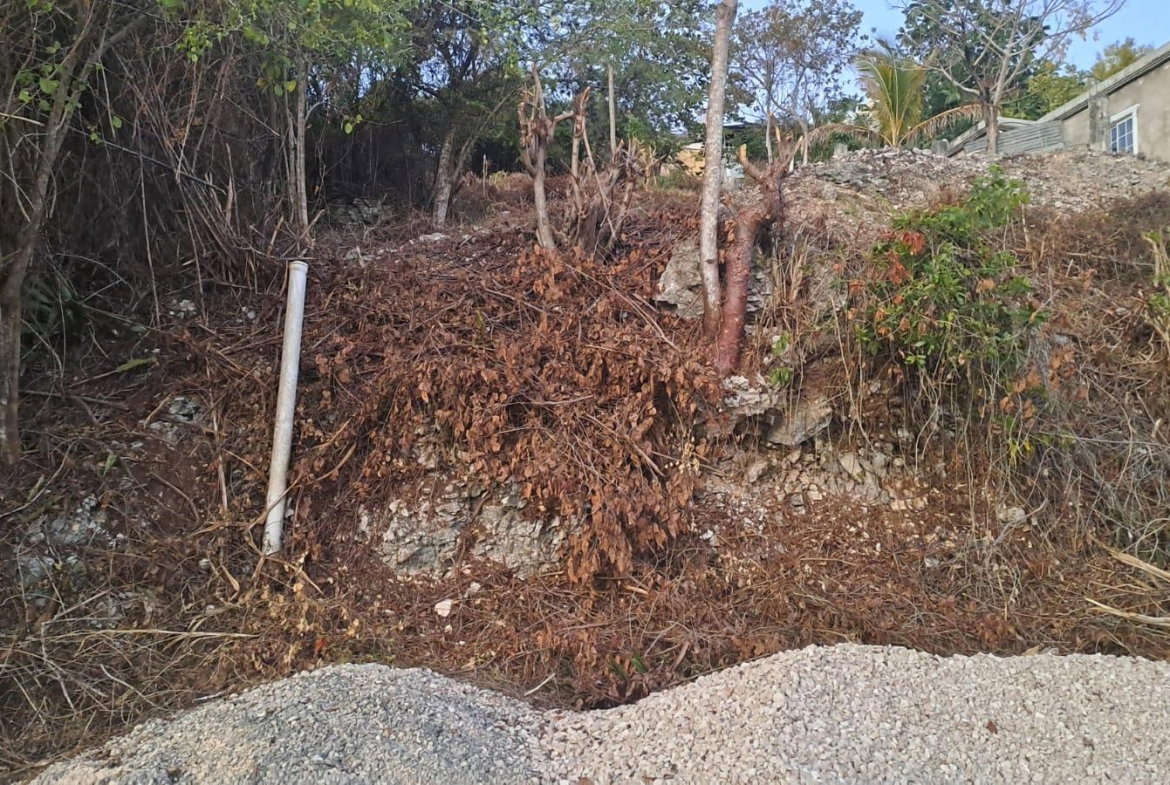 Second image of 51 Melrose Mews in Melrose, Manchester, Jamaica - property is For Sale