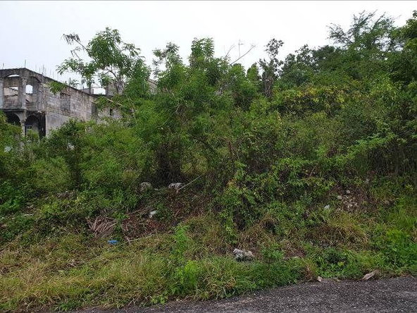 Sixth image of Lot 285 Orchard Circle Williamsf in Williamsfield, Manchester, Jamaica - property is For Sale