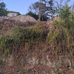 First image of 51 Melrose Mews in Melrose, Manchester, Jamaica - property is For Sale